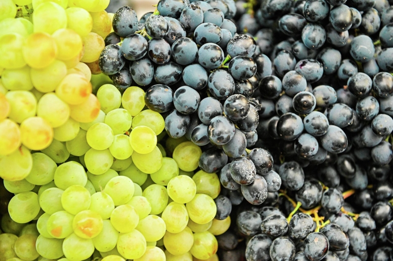 "Дожить до 150 теперь реально". Что придумали ученые в Китае