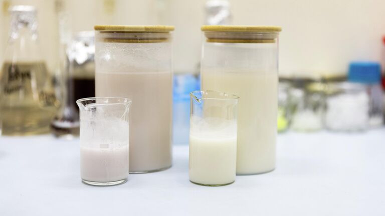 Ученые создали альтернативное молоко с отходами виноделия