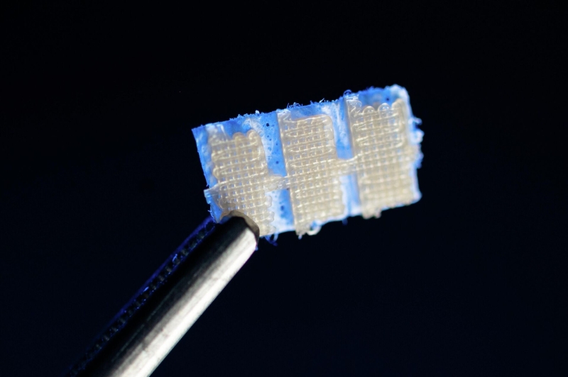 Части тела по ГОСТу: как в России печатают органы прямо на человеке